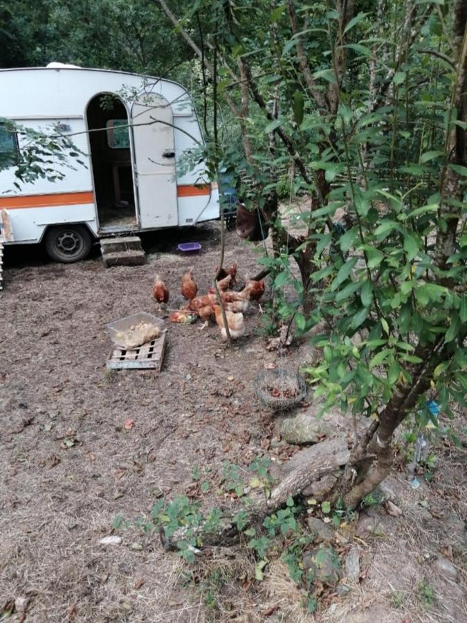 Les Roches Chambre D'Hotes Servant Екстериор снимка